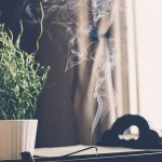 significado espiritual de la planta de incienso en el feng shui
